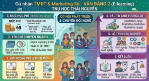 vb2-thuong-mai-dien-tu-tnu