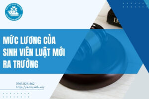 lương luật sư mới ra trường