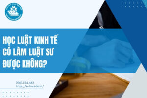 Học Luật kinh Tế có làm Luật sư được không