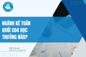 Các trường có ngành Kế toán khối C04