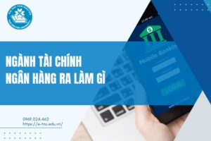 Học Tài chính Ngân hàng ra làm gì