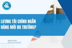 Lương Tài chính Ngân hàng mới ra trường